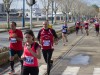 messina-marathon-2014-244